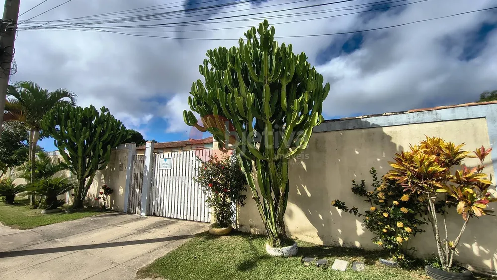 Apartamento, 2 quartos, 55 m² - Foto 14