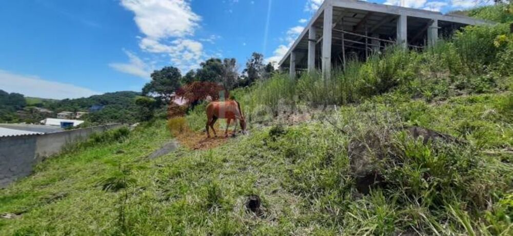 Terreno à venda, 600m² - Foto 3
