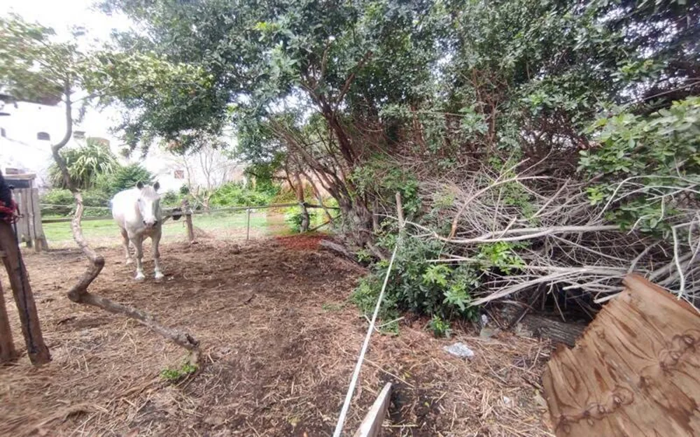 Terreno, 900 m² - Foto 3