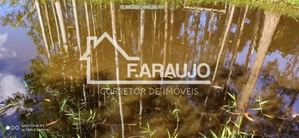 Chácara, 3 quartos, 5250 m² - Foto 4