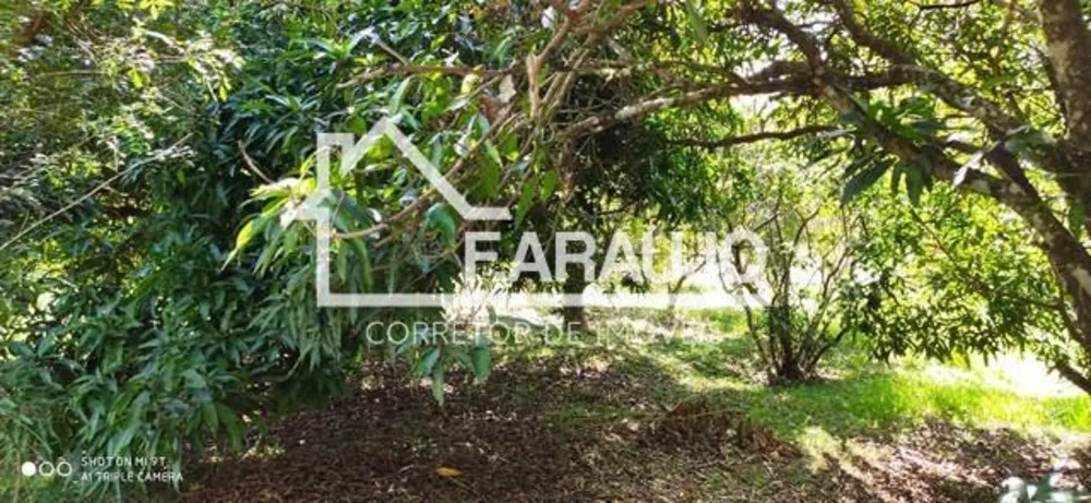 Chácara, 3 quartos, 5250 m² - Foto 5