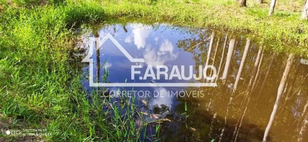 Chácara, 3 quartos, 5250 m² - Foto 8