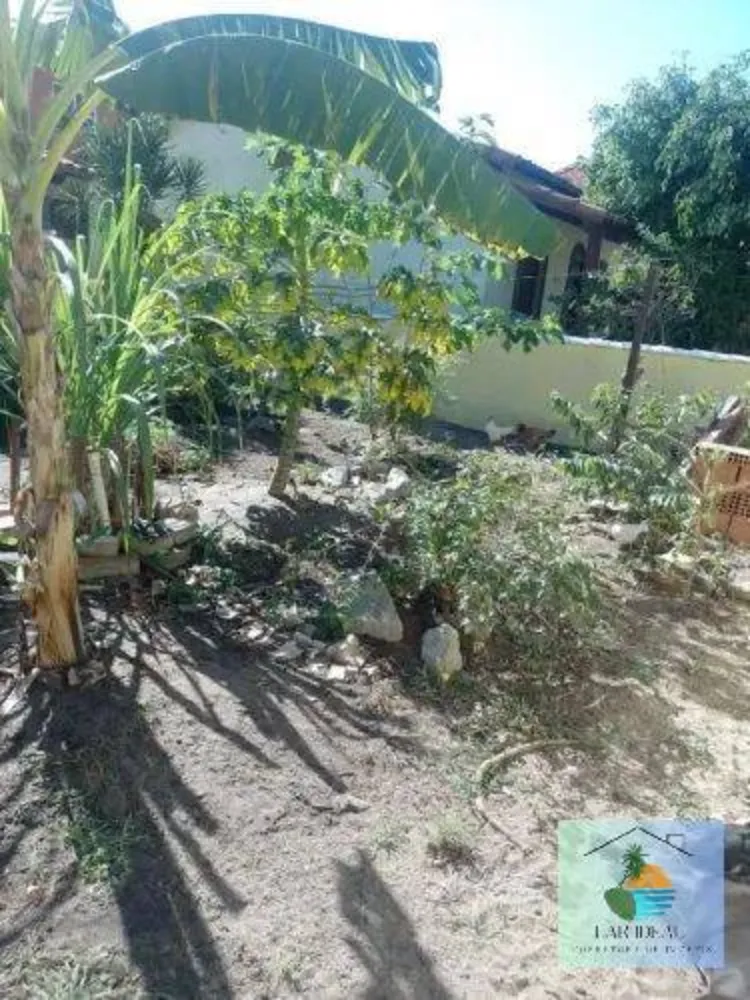 Casa, 3 quartos - Foto 19