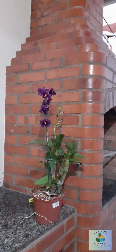 Casa, 2 quartos, 75 m² - Foto 18