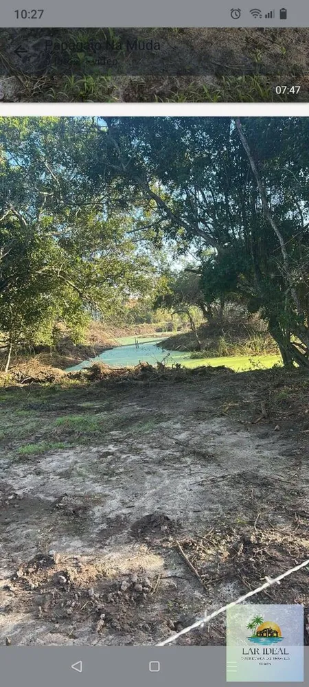 Terreno, 300 m² - Foto 5