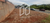 Terreno, 309 m² - Foto 3