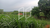 Chácara, 3 quartos, 600 m² - Foto 3