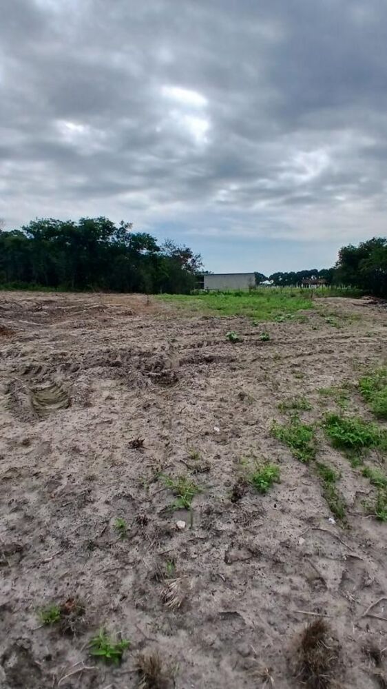 Sítio à venda com 2 quartos, 31000m² - Foto 14