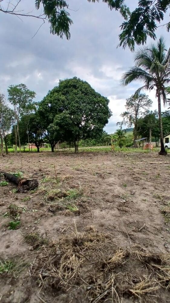 Sítio à venda com 2 quartos, 31000m² - Foto 13