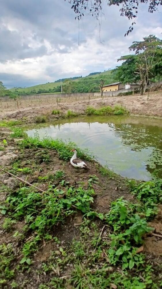 Sítio à venda com 2 quartos, 31000m² - Foto 15