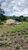 Sítio, 2 quartos, 3 hectares - Foto 2