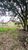 Sítio, 2 quartos, 3 hectares - Foto 1