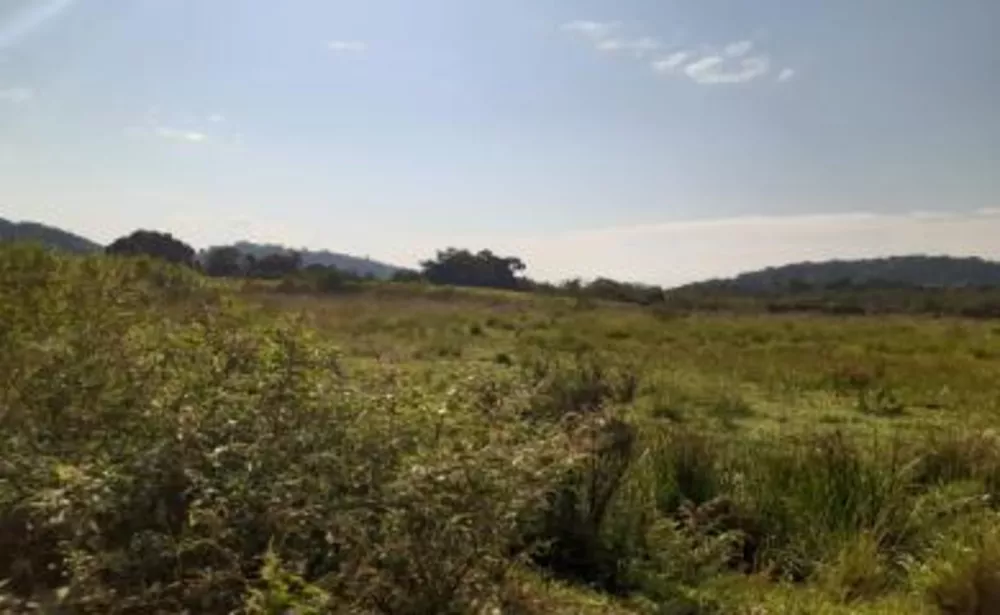 Sítio, 3 quartos, 11 hectares - Foto 13