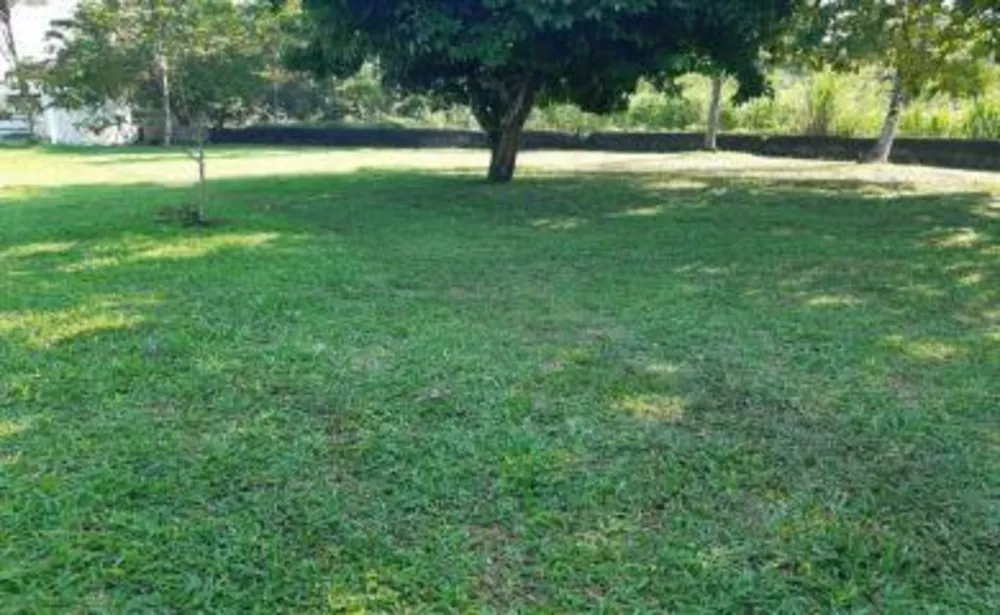 Sítio, 3 quartos, 11 hectares - Foto 20