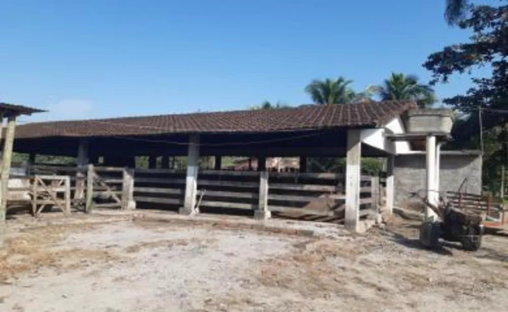 Sítio, 3 quartos, 11 hectares - Foto 7