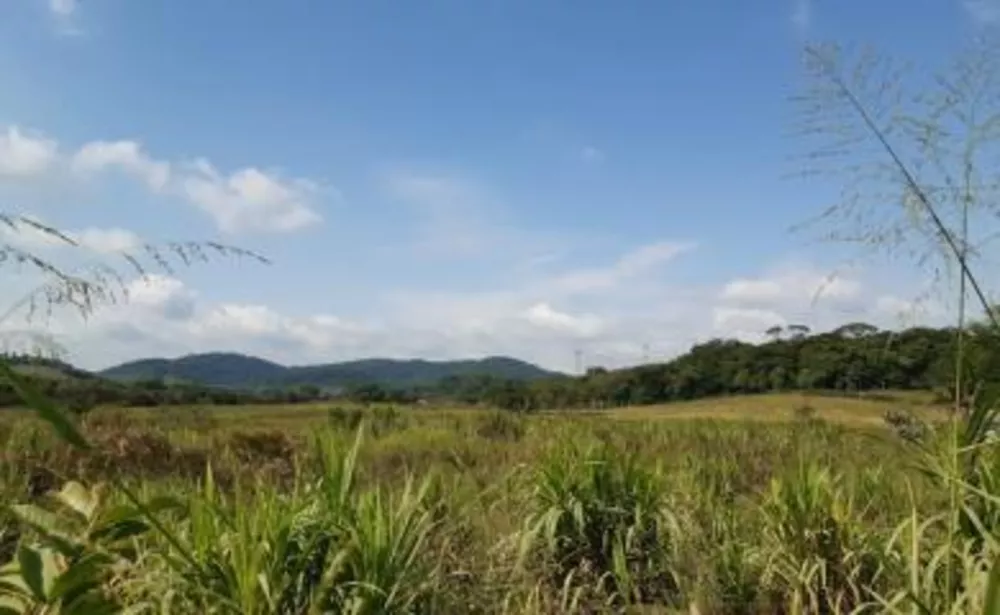 Sítio, 3 quartos, 11 hectares - Foto 19