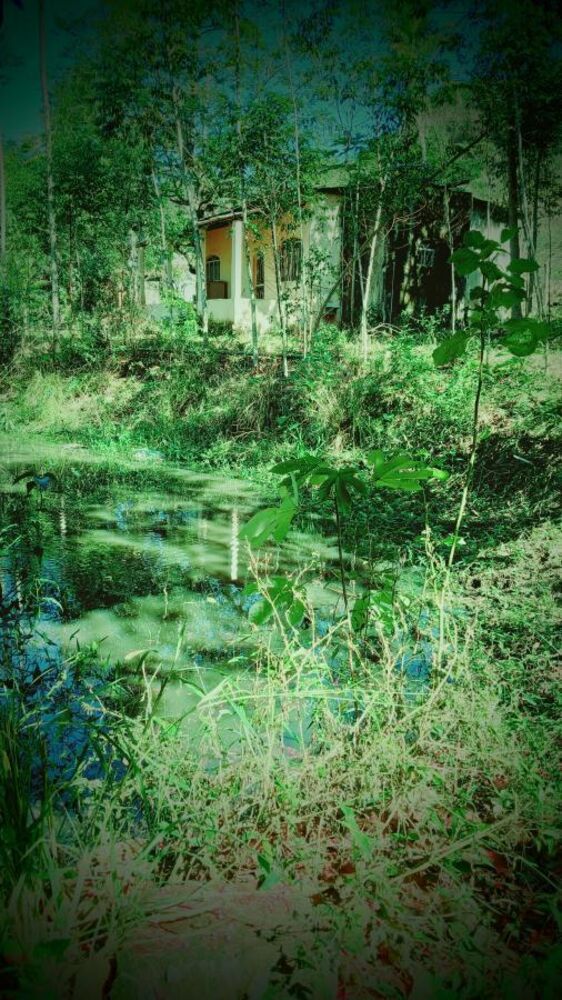 Sítio à venda com 1 quarto, 10000m² - Foto 3