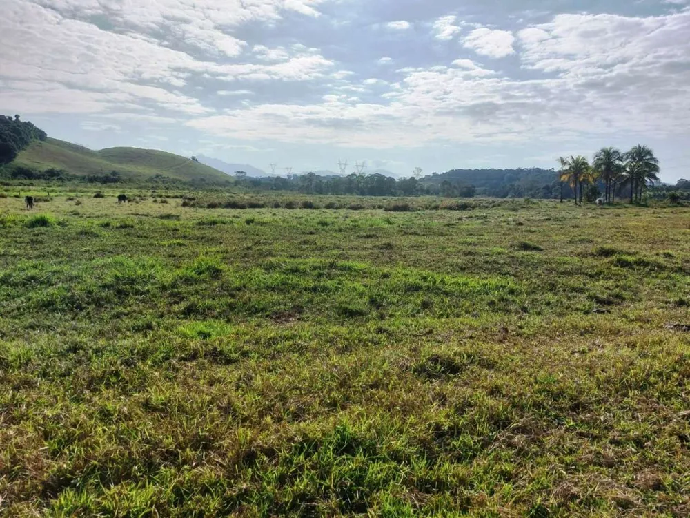 Sítio, 2 quartos, 8 hectares - Foto 7