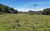 Sítio, 2 quartos, 29 hectares - Foto 3