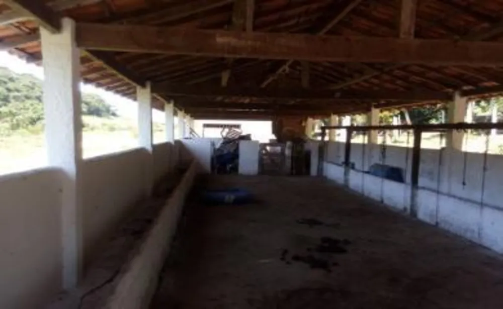Sítio, 3 quartos, 14 hectares - Foto 19
