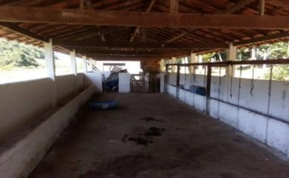 Sítio, 3 quartos, 14 hectares - Foto 13