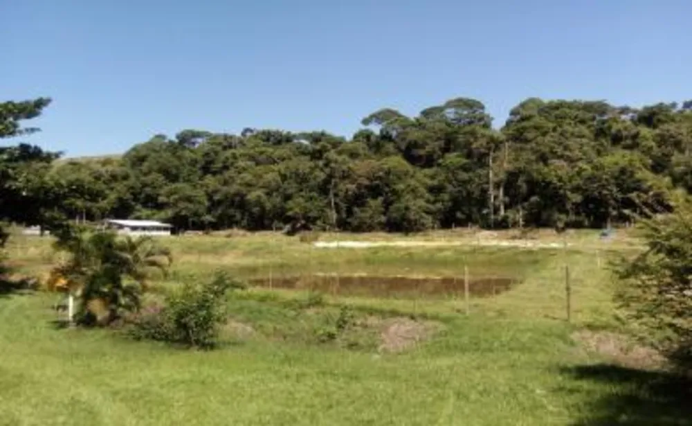 Sítio, 3 quartos, 14 hectares - Foto 15