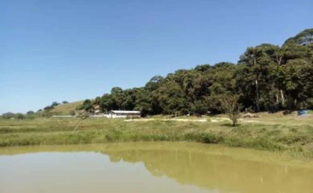Sítio, 3 quartos, 14 hectares - Foto 8