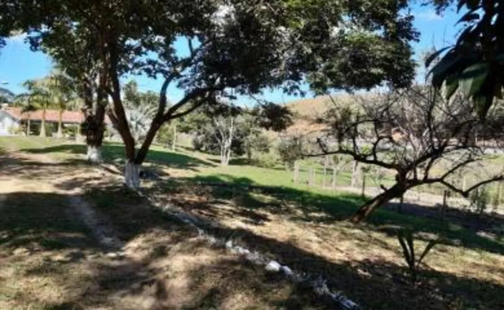 Sítio, 3 quartos, 14 hectares - Foto 5