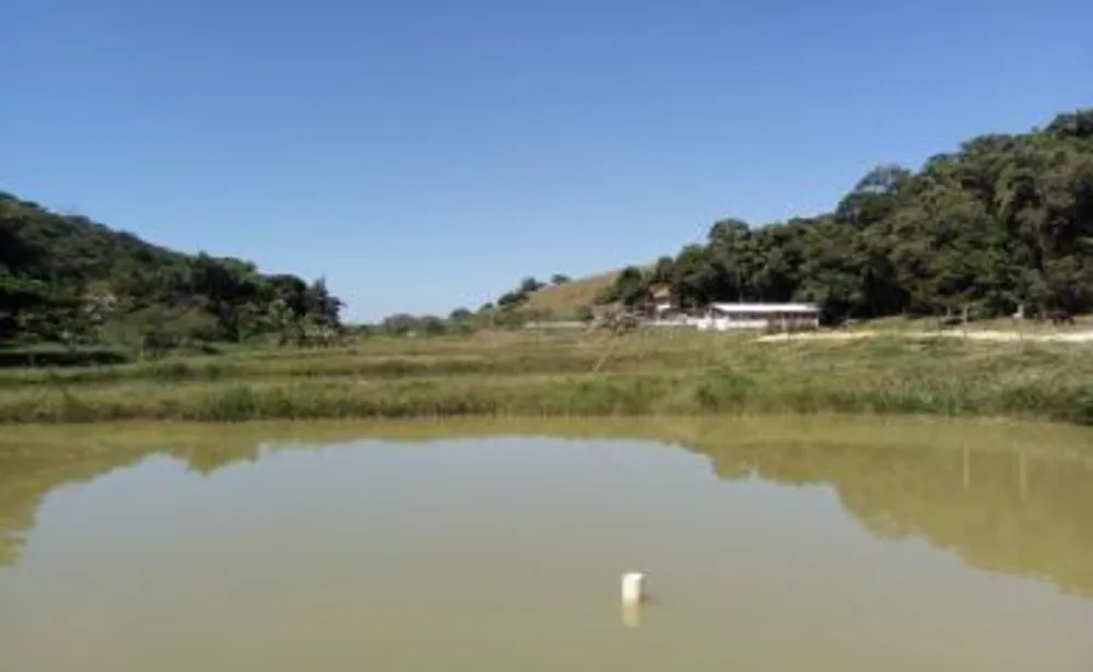 Sítio, 3 quartos, 14 hectares - Foto 6