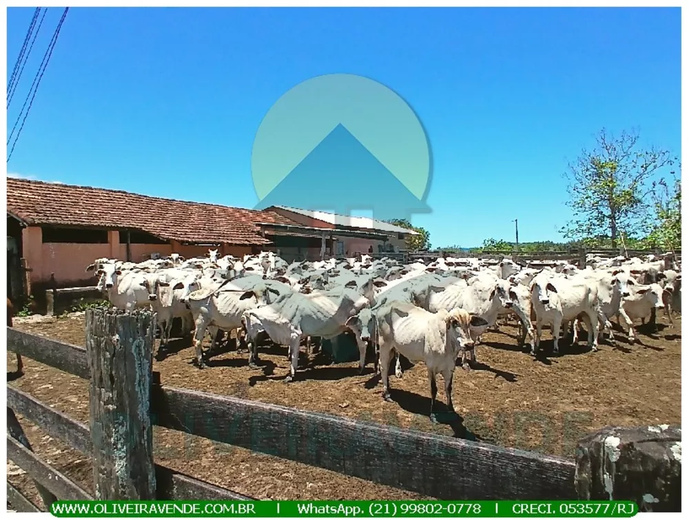 Fazenda, 52 m² - Foto 4