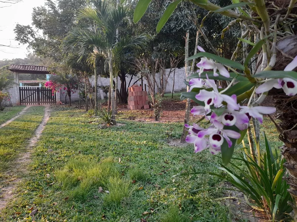 Chácara, 2 quartos, 4000 m² - Foto 15