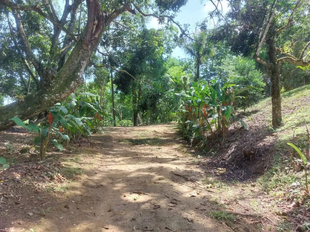 Sítio, 4 quartos, 46 hectares - Foto 22
