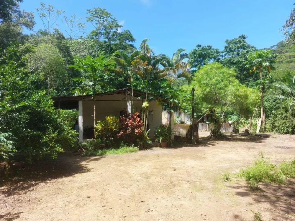Sítio, 4 quartos, 46 hectares - Foto 14