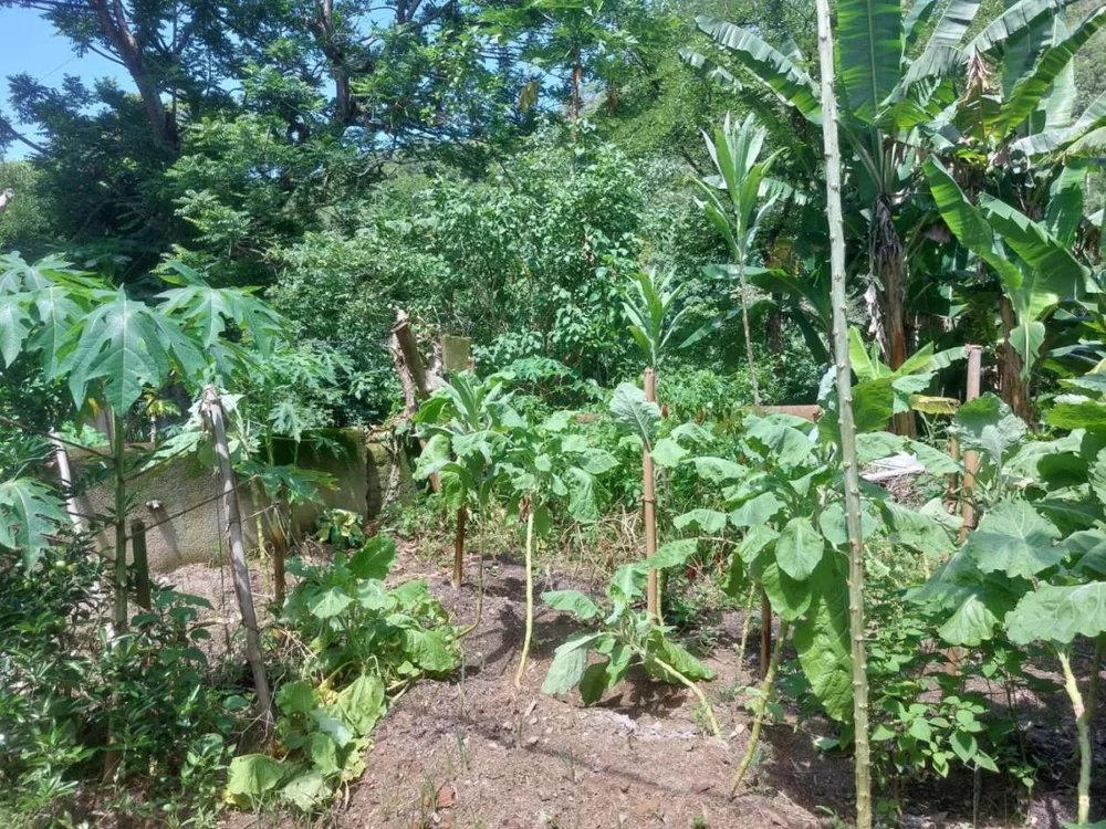 Sítio, 4 quartos, 46 hectares - Foto 16