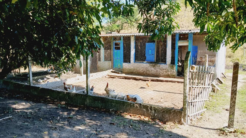 Sítio, 3 quartos, 4 hectares - Foto 24
