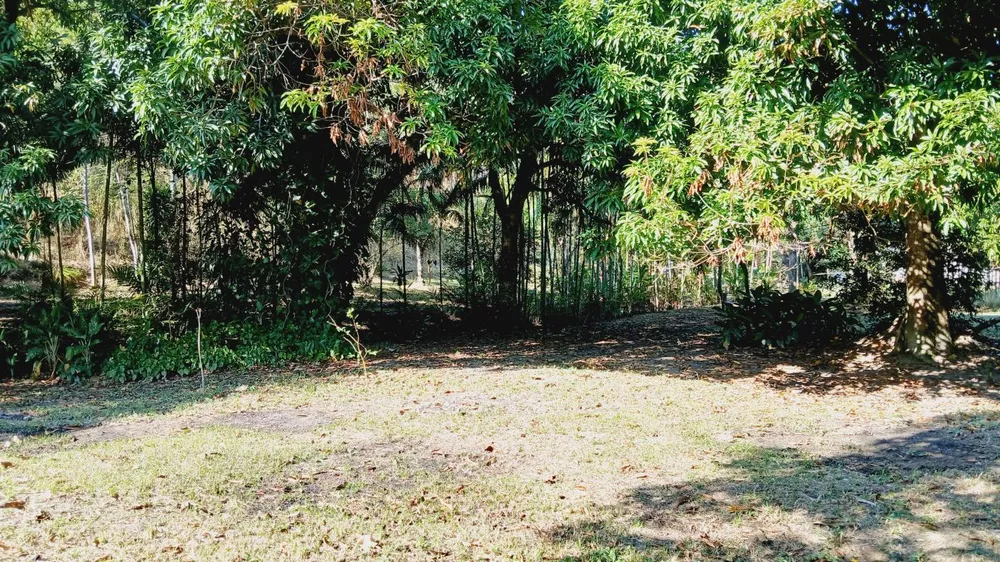 Sítio, 3 quartos, 4 hectares - Foto 20