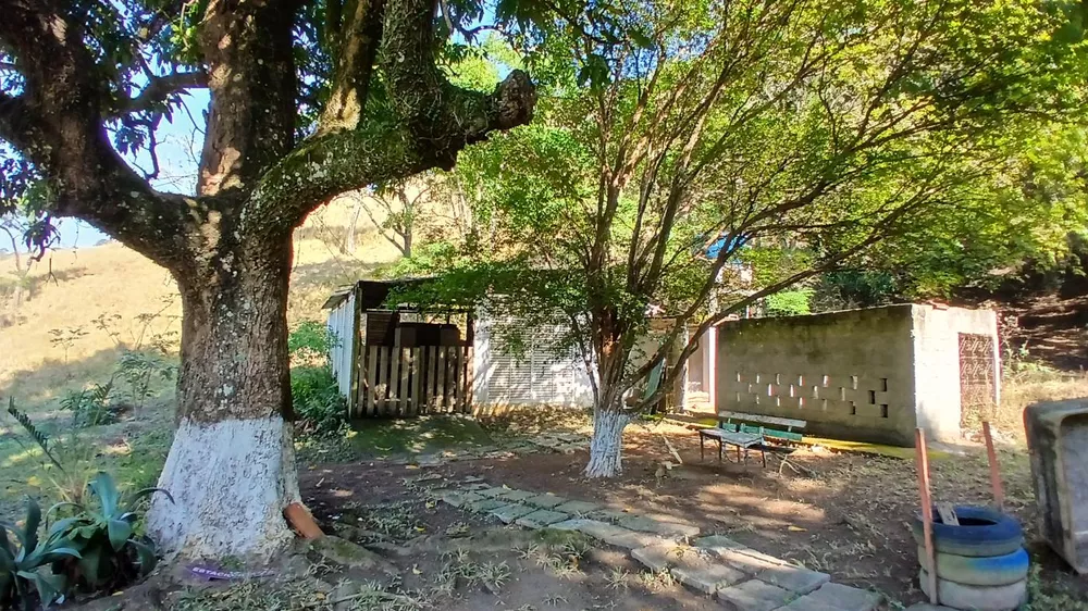 Sítio, 3 quartos, 4 hectares - Foto 8