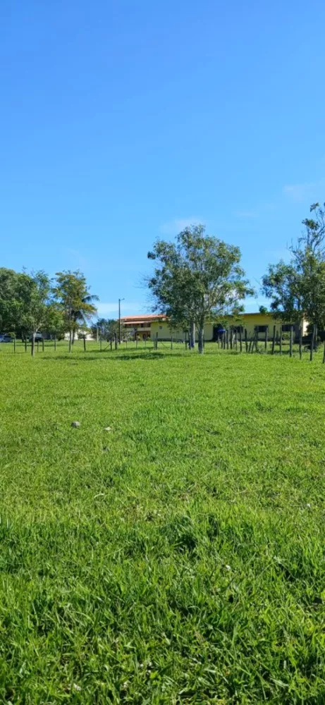 Sítio, 6 quartos, 13 m² - Foto 15