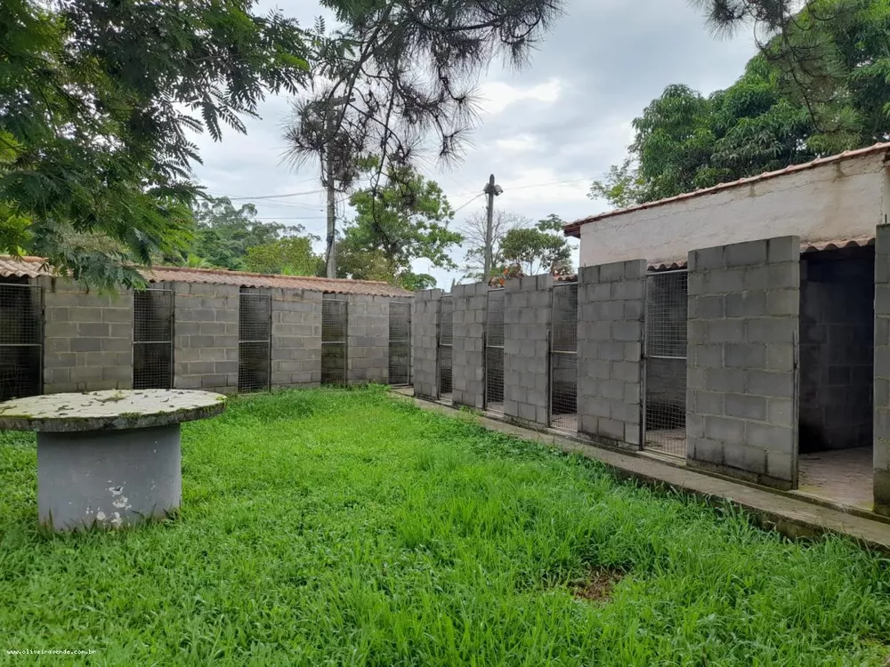 Sítio, 3 quartos, 6000 m² - Foto 18