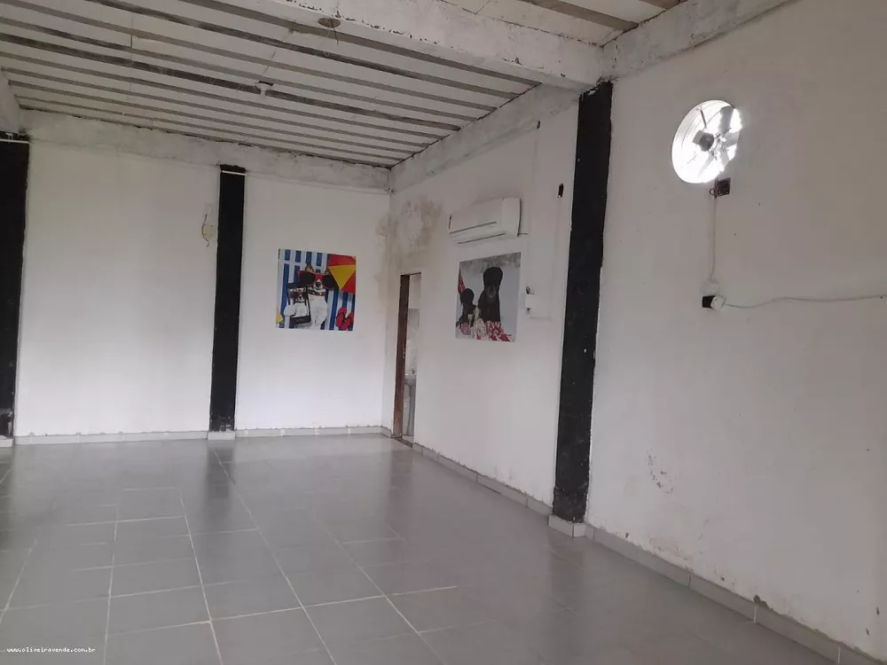 Sítio, 3 quartos, 6000 m² - Foto 22