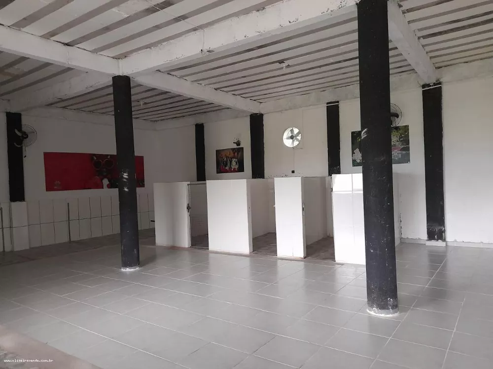 Sítio, 3 quartos, 6000 m² - Foto 23