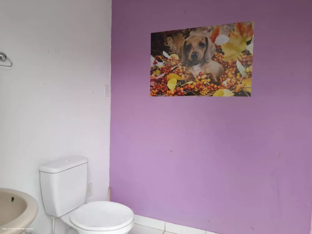 Sítio, 3 quartos, 6000 m² - Foto 24