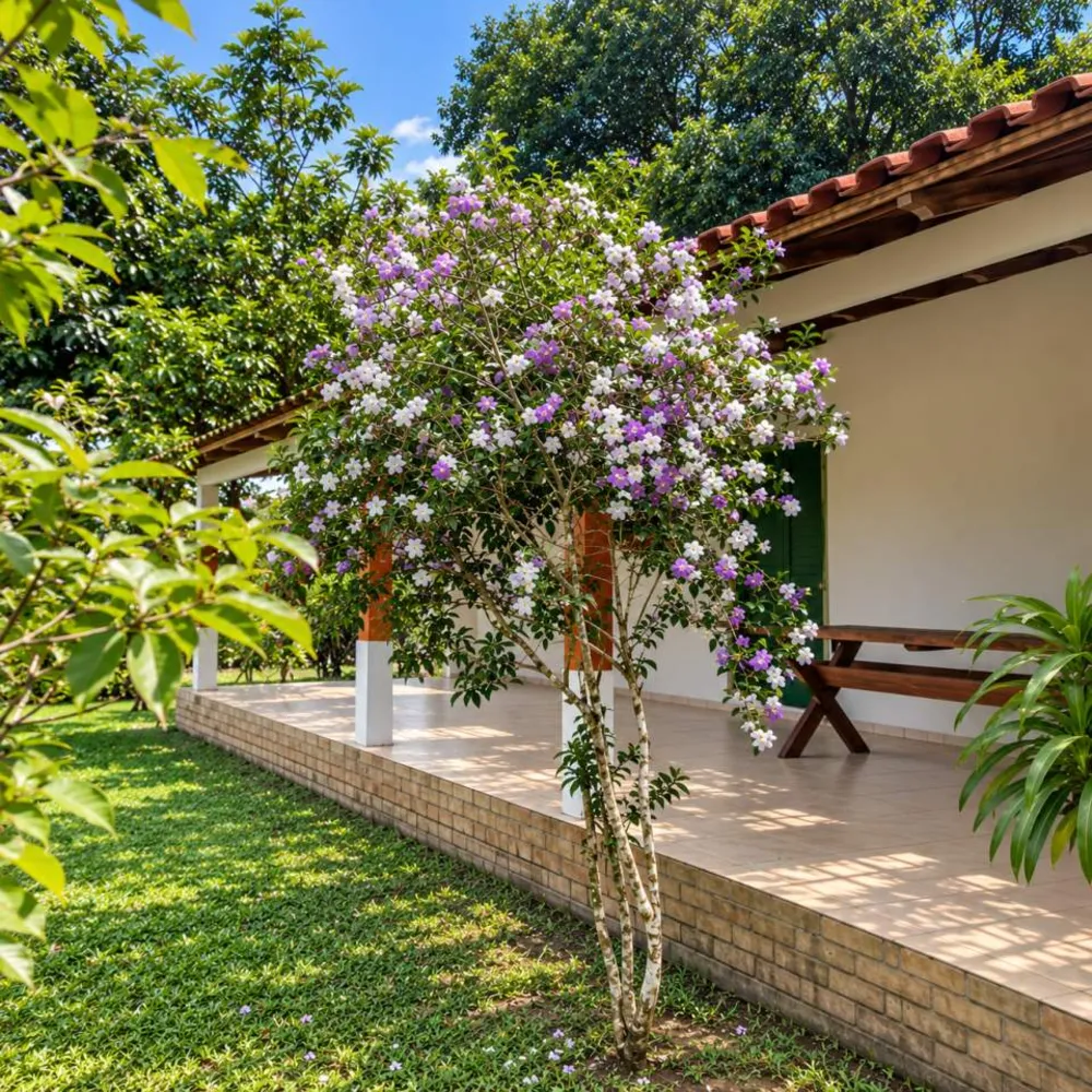 Sítio, 3 quartos, 29 hectares - Foto 4