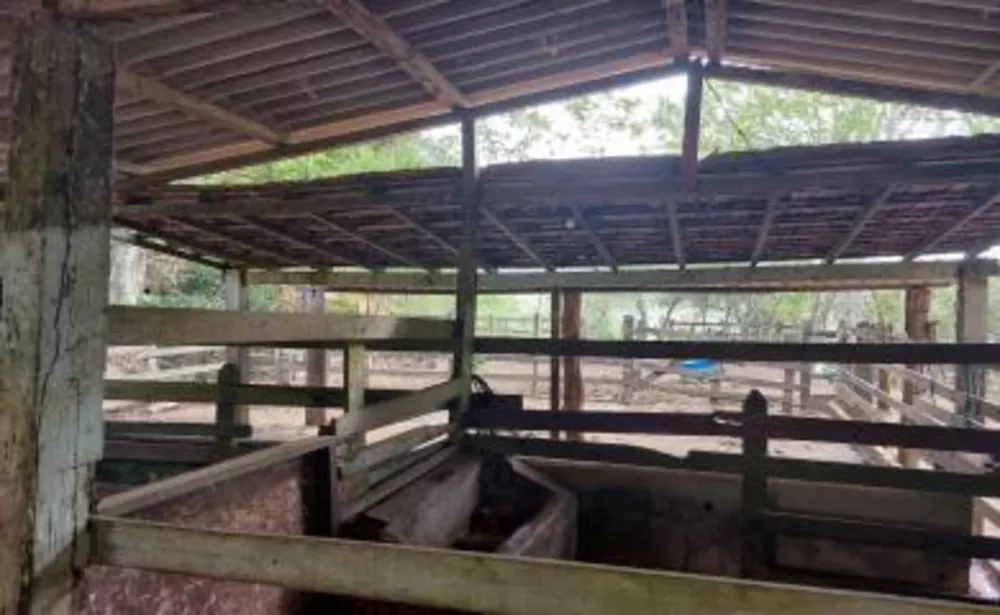 Sítio, 3 quartos, 29 hectares - Foto 6