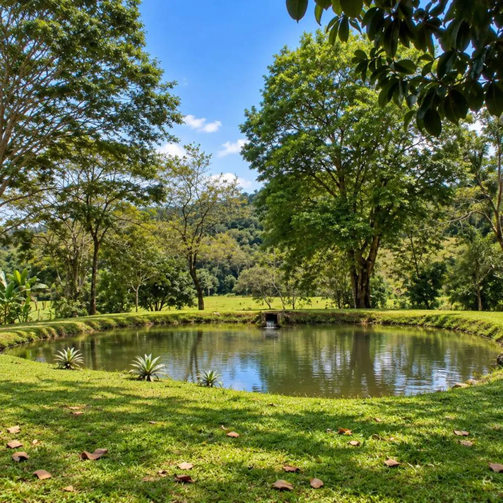 Sítio, 3 quartos, 29 hectares - Foto 40