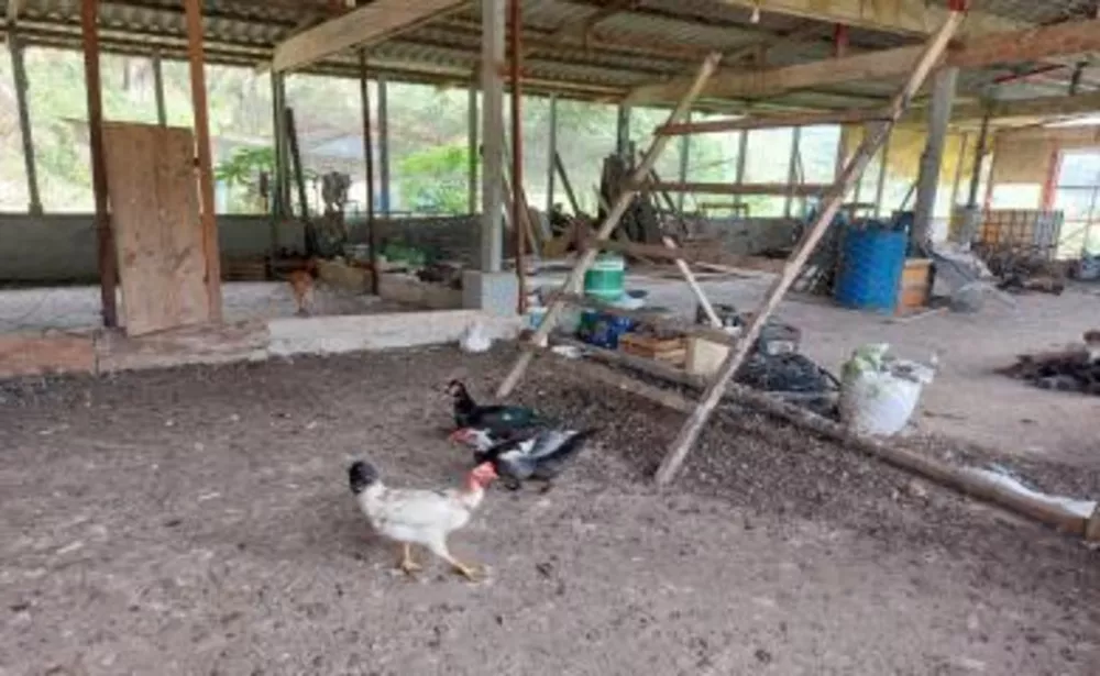 Sítio, 3 quartos, 29 hectares - Foto 28