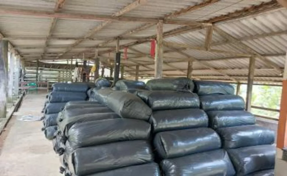 Sítio, 3 quartos, 29 hectares - Foto 14