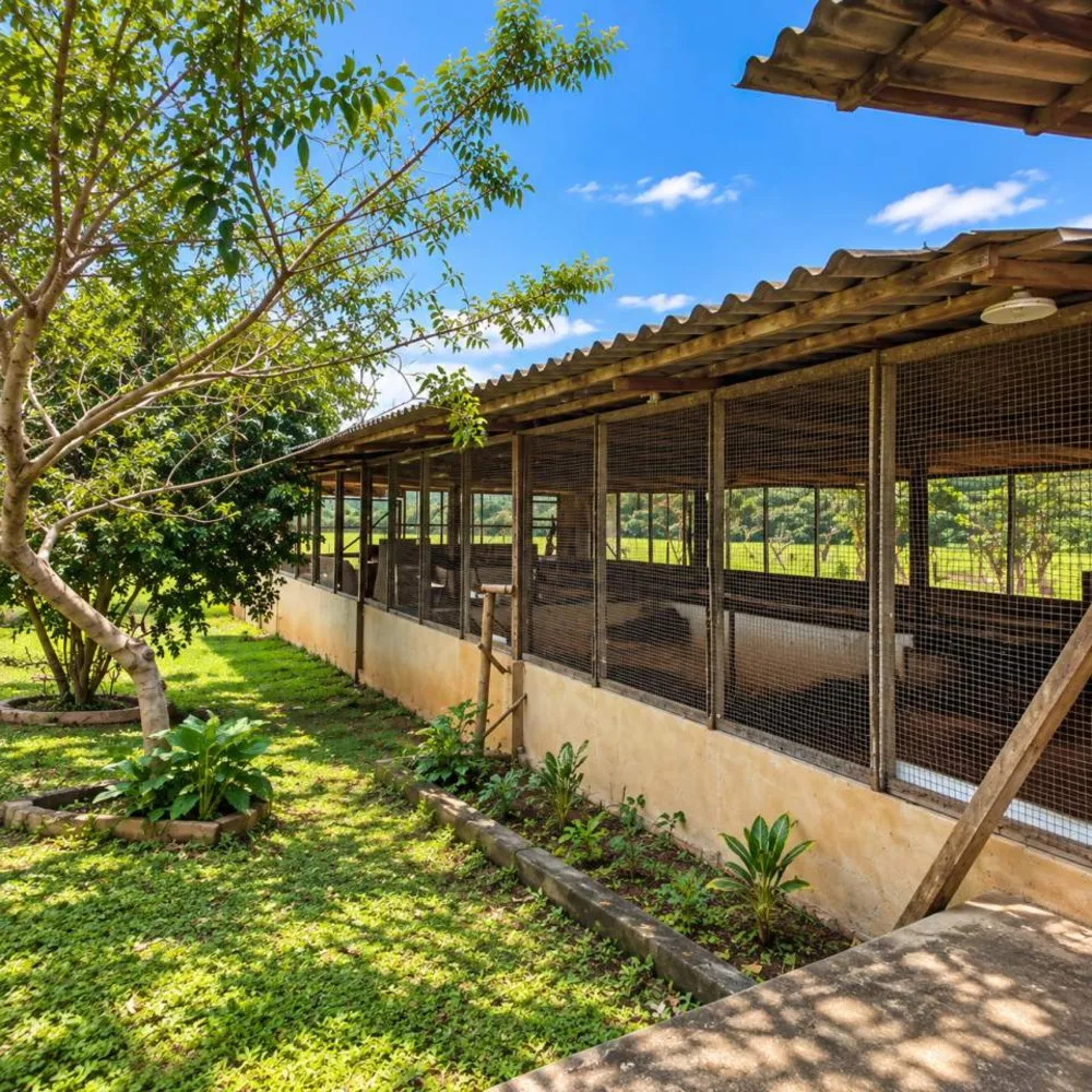 Sítio, 3 quartos, 29 hectares - Foto 14