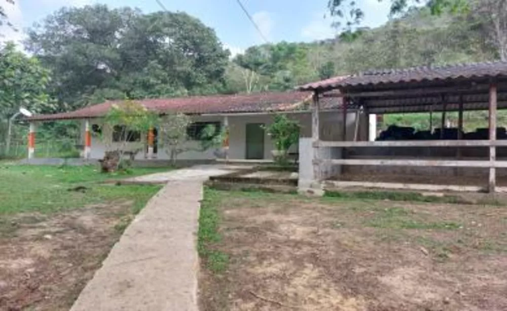 Sítio, 3 quartos, 29 hectares - Foto 3