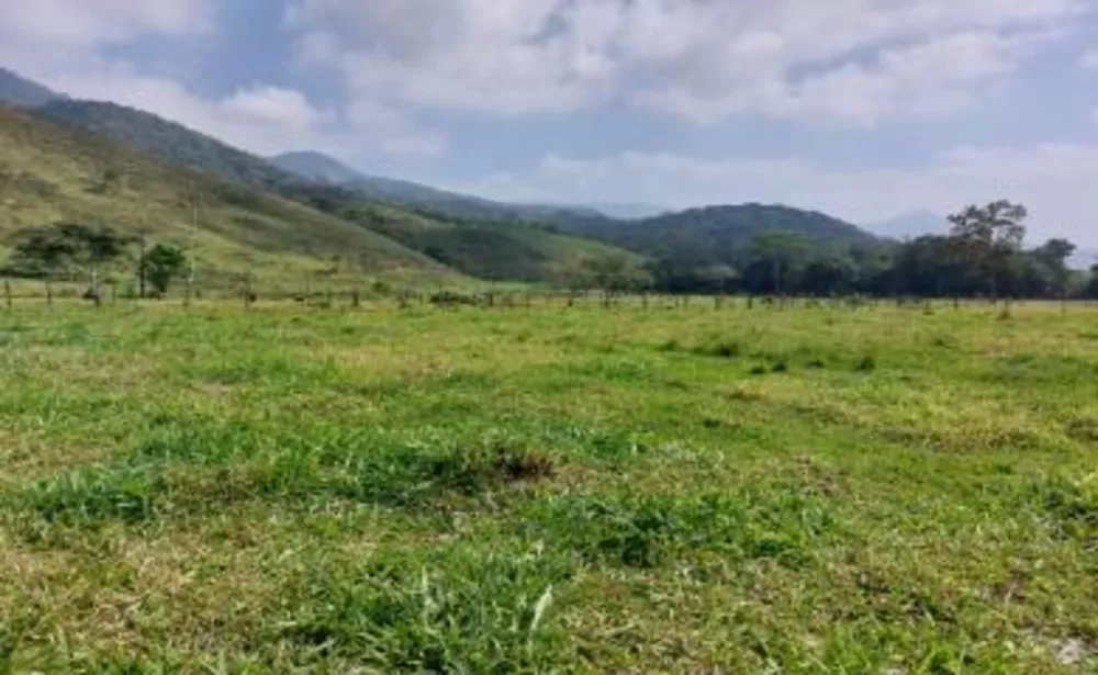 Sítio, 3 quartos, 29 hectares - Foto 18
